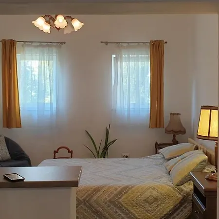 Apartment Cozy In The Heart Of Cluj-Napoca